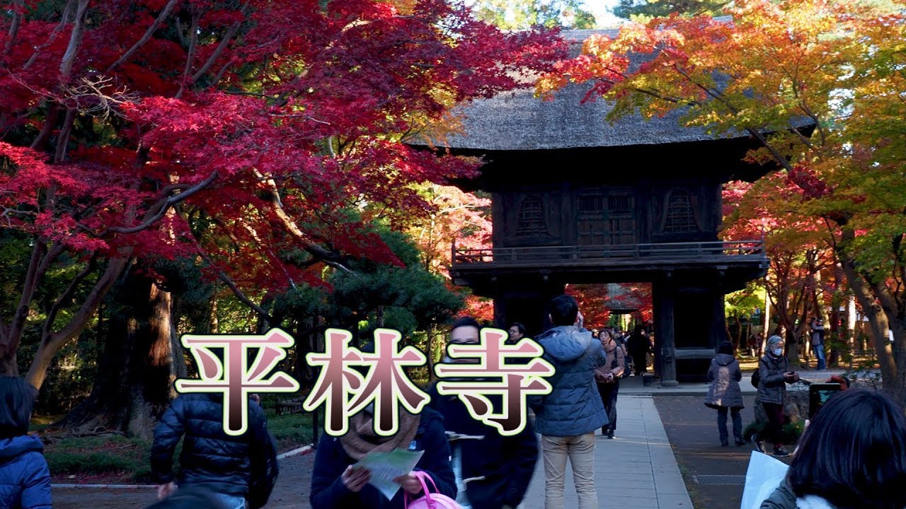 Saitama【Autumn colors】Heirinji Temple 平林寺(Nov 30, 2019) #4K