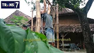 Buat status wa keren abis