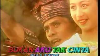 Bukan Aku Tak Cinta  Saleem ( Best  Slow Rock 90an Vol.5   Bung Deny)