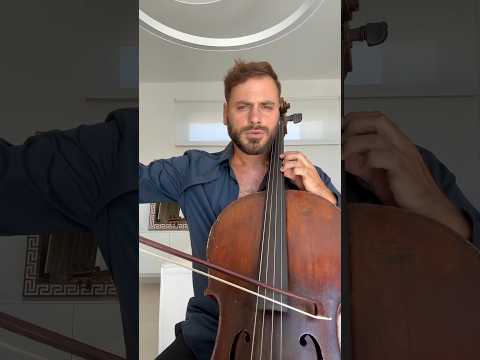 HAUSER سلطان قلب ها Hauser Cello Soltanehghalba