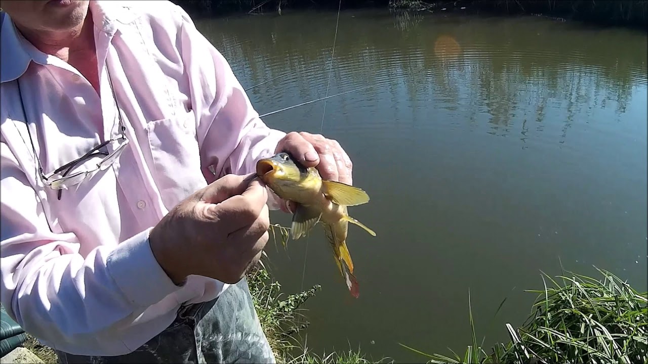 Озера адыгеи рыбалка цена и отзывы Озера адыгеи рыбалка цена и отзывы