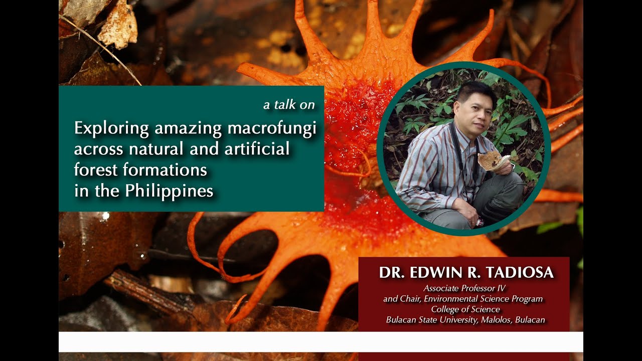 Edwin R Tadiosa 2022 MNH Biodiversity Seminar: Edwin Tadiosa - YouTube