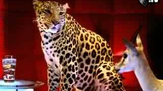 Schweppes - Watering Hole