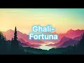 Ghali- Fortuna (lyrics/testo)