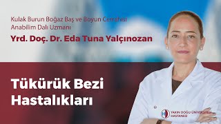 Yakın Doğu Üniversitesi Hastanesi, Tükürük Bezi Hastalıkları