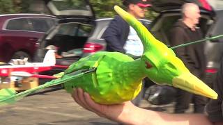 The Last flying Dinosaur