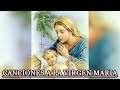 CANCIONES A LA VIRGEN MARIA - La Canción Católica Mas Hermosa Del Mundo 2023