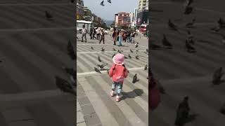 Eğlenceli Bir Gün Ğlence