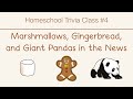 Homeschool trivia class 4 marshmallows ginger bread and giant pandas