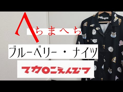 マカロニえんぴつ「ブルーベリー・ナイツ」guitar cover リードギター弾いてみた風