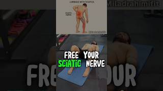 This Move Cracks Your Back Naturally ♻️🦵🏻 @MiladRahimifit