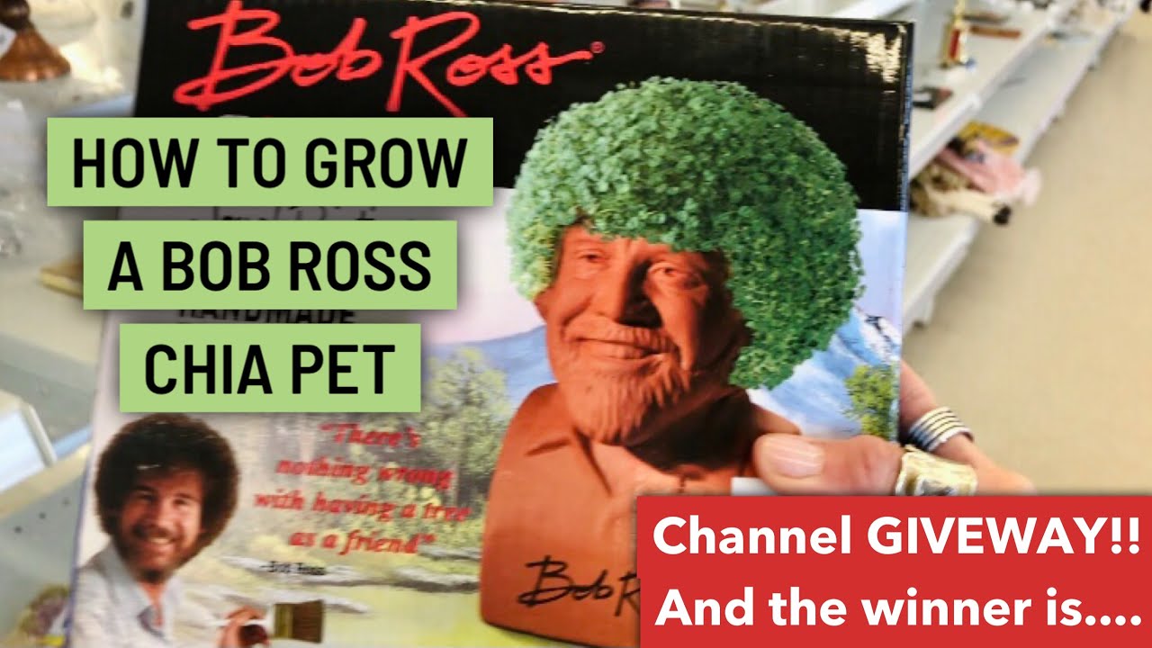 How To Grow A Bob Ross Chia Pet 🍃Channel GIVEWAY Winner