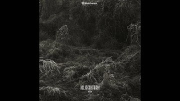 Heliocentrism & Shadowfinder - Waves - Official