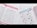 a weekend studying Korean | beginner resources and apps :)