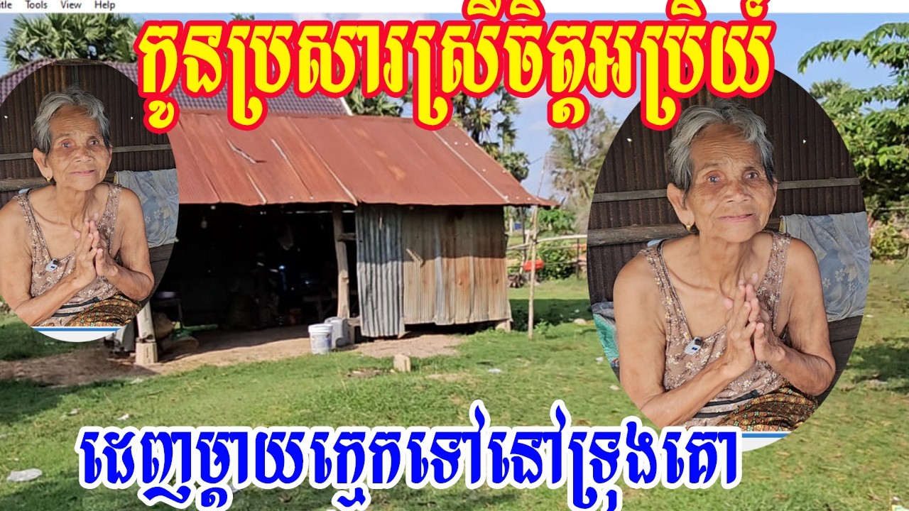 កូនប្រសារស្រីចិត្តអប្រិយ៍ដេញម្តាយក្មេកទៅនៅទ្រុងគោ
