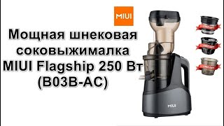 Мощная шнековая соковыжималка MIUI Flagship(B03B-AC) 250 Вт