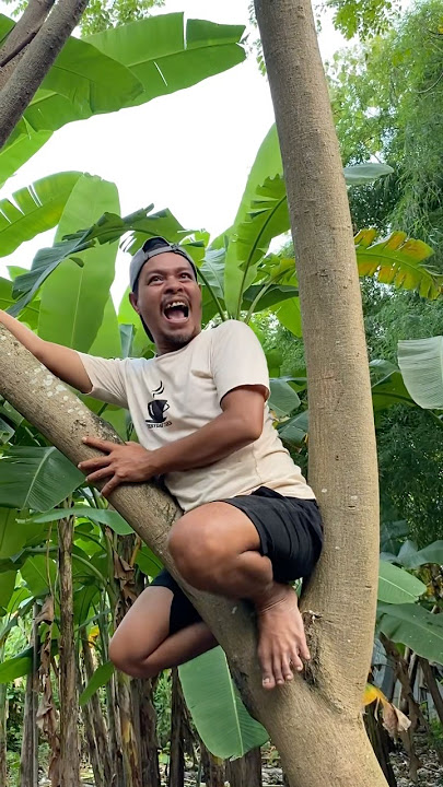 Mastran burung lucu viral kocak ngakak meme funny memes moments