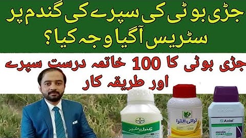 How to control weeds in wheat field | Tri ultra herbicide for wheatcrop|BectrelSuper|Axiel Herbicide