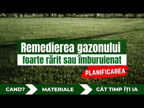 Video: Gazon pentru leneși. Cum să alegi?