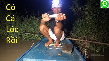 495   Cắm Câu Mồi Nhái Trên Cánh Đồng Mùa Nước Nổi | Đất Phương Nam