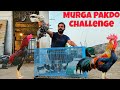 Kabutar Trap Challenge 🤣 Chicken Pakado Challenge 🕊️