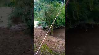 Rio San Antonio - Córdoba (Cuesta Blanca)