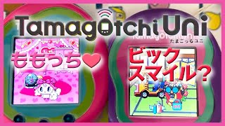 【たまごっち育成動画】たまごっちユニ新キャラのビックスマイルとももっちを育ててみよう♪