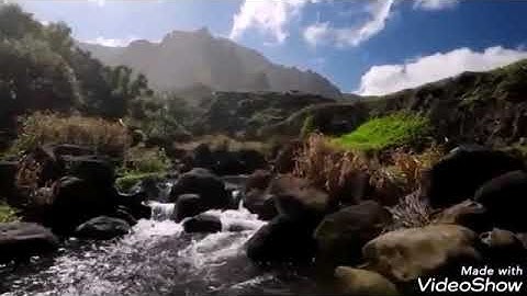 راحة نفسية لا توصف مع قراءة رائعة🍃💕 من سورة مريم💕🍃 بصوت القارئ "وديع اليمني"