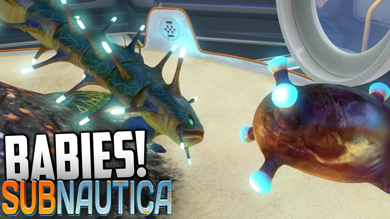 Subnautica - EGG HATCHING BABIES, Gasopod Eggs (Gameplay) YouTube