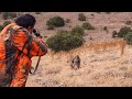 DEV DOMUZLA YAKIN TEMAS! - FACING WITH GIANT WILD BOAR - AMAZING SHOTS