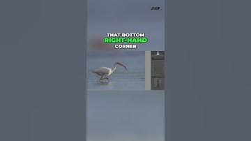 Histogram Secrets  Stop Blowing Out Your Highlights!