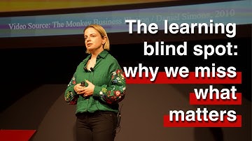 The Learning Blind Spot: Why We Miss What Matters | Sasha Vassar | TEDxUNSW Salon