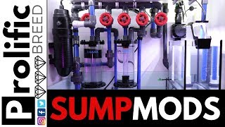 Red Sea Reefer 350 Sump Modifications To Grow Chaeto Youtube Red Sea Reefer 350 Sump Modifications To Grow Chaeto Youtube