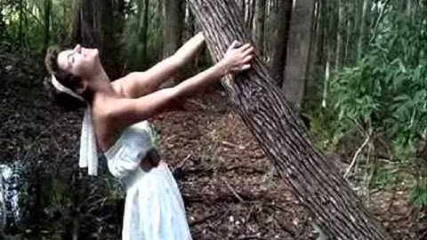 The Wolves Acts I and II (Personal Music Video)