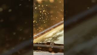 Spring Runs Through Us (Melodic Techno) - Hidden Notes Audio #electronicmusic #music #ambienthouse