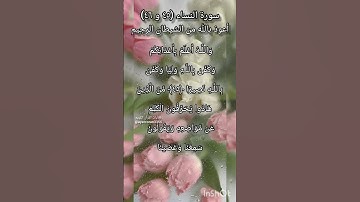 سورة النساء الآية ٤٥ و ٤٦