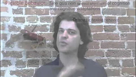 Dog Emotion and Cognition : Ecological Approach to Cognition