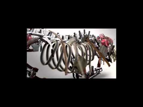 اعلان جاكي شان