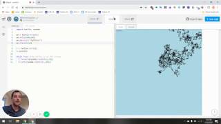 Random Turtle Example