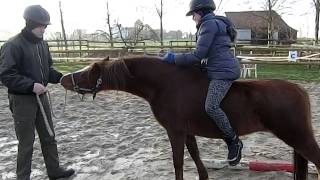 Ponyhügel Samson Das Erste Mal Mit Reiterin Amira Auf Dem Rücken Am 1.01.2015