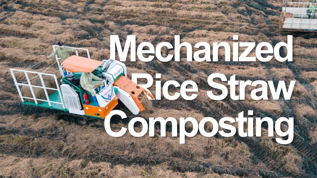 Thumbnail for Mechanized Rice Straw Composting