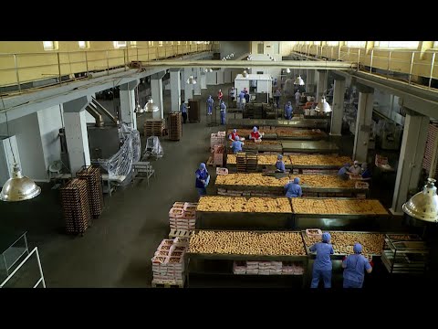 თბილისი: “დოლჩე ვიტა” ხომლელის ქუჩაზე; ბურბუშელა “ცეროდენა”; “ტკბილი ქვეყანა”