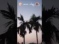 mini vlog 💓 | #shorts #viral #naturelovers #vlog #explore | Rose Savvy