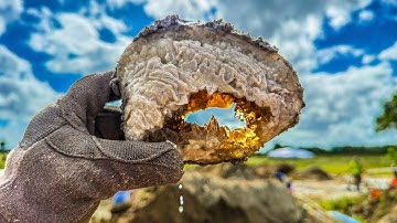 We Found Calcite CRYSTAL Clams in Florida (Best in the World)