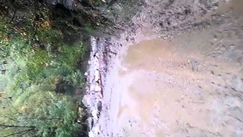 Bedizzano dimemticato