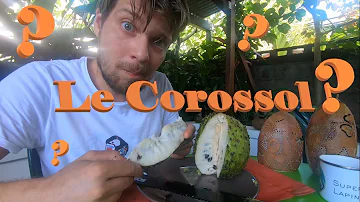 Comment se mange le fruit corossol ?