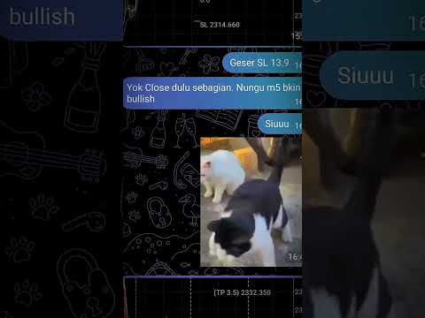 buy pucuk gajadi masalah ygy