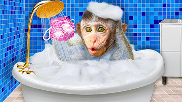 Baby Monkey Chu Chu Rescues a Stuck Duckling and Eats Ice Cream with Duck the Garden