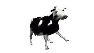 Polish Cow - Full Version