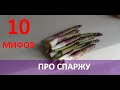 10 мифов про спаржу